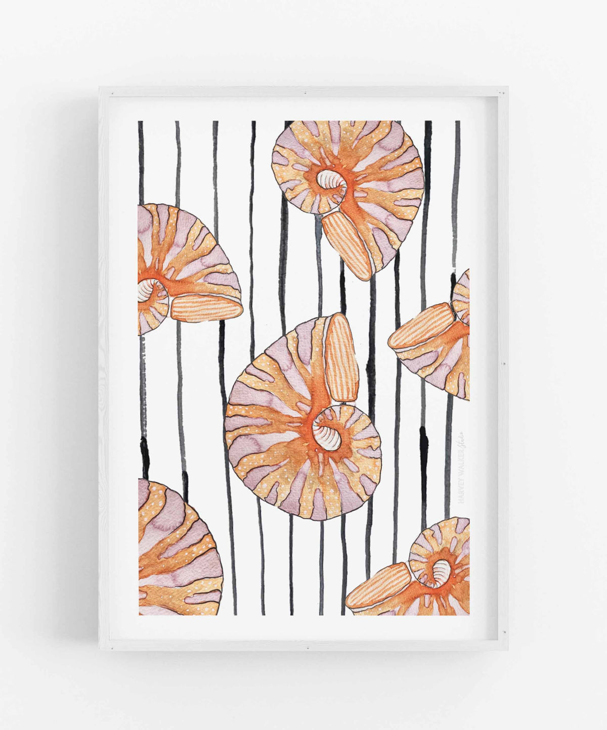 COLOUR ME STRIPE - Fine Art Print