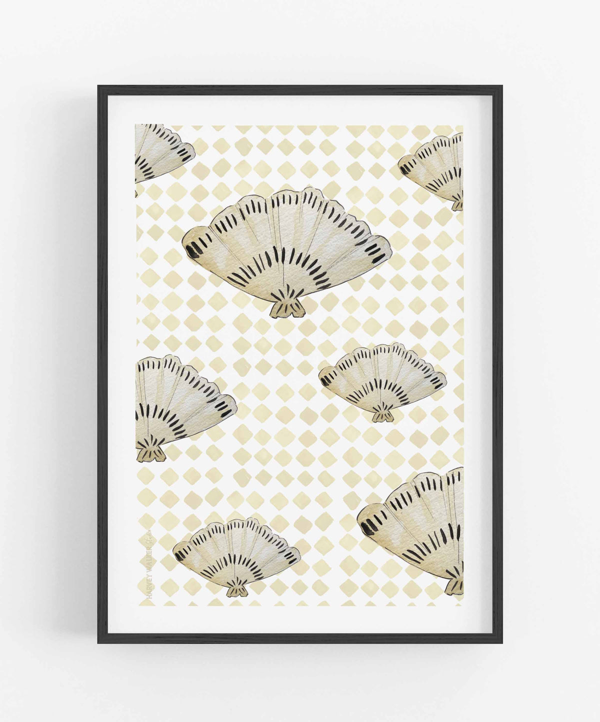 FANCY FAN SHELL - Fine Art Print