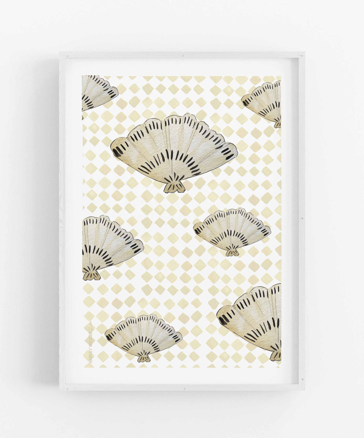 FANCY FAN SHELL - Fine Art Print