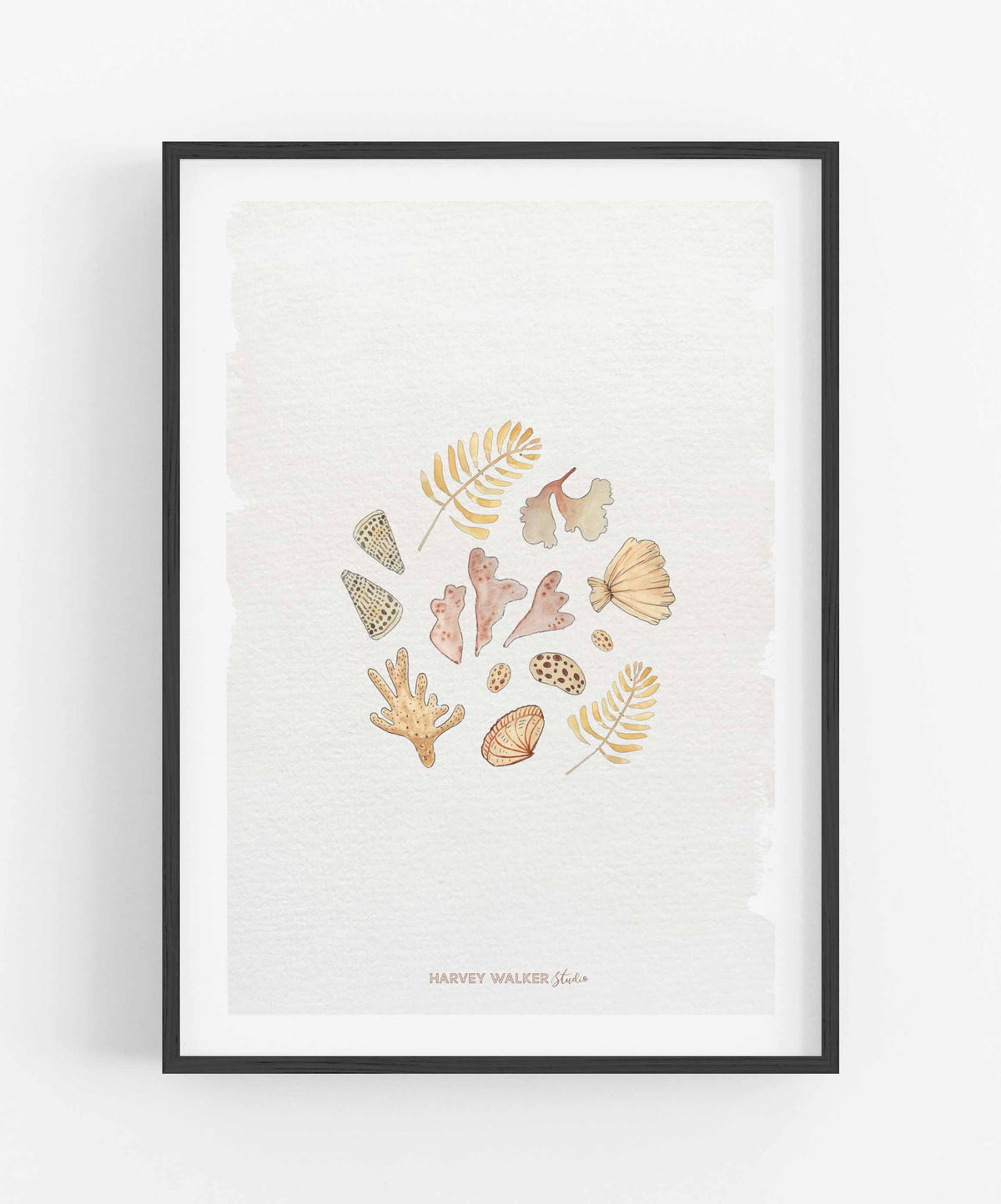 SHELL CIRCLE - Beige Wash - Fine Art Print