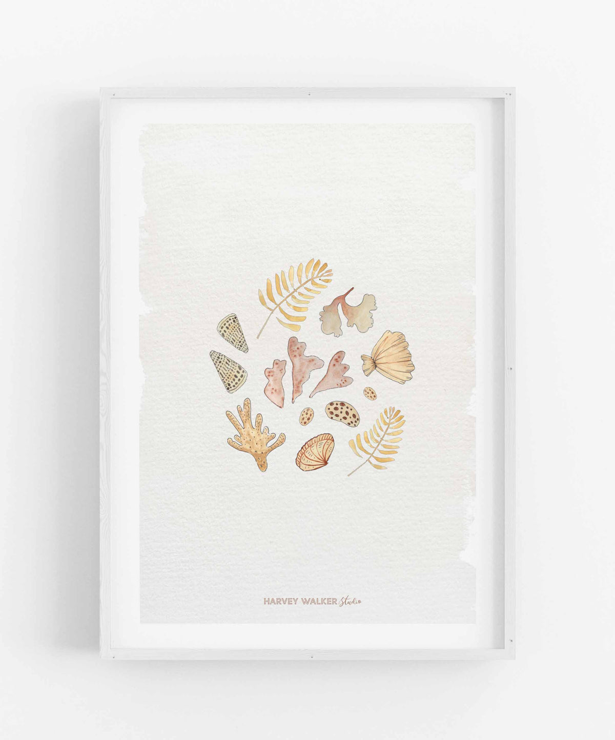 SHELL CIRCLE - Beige Wash - Fine Art Print