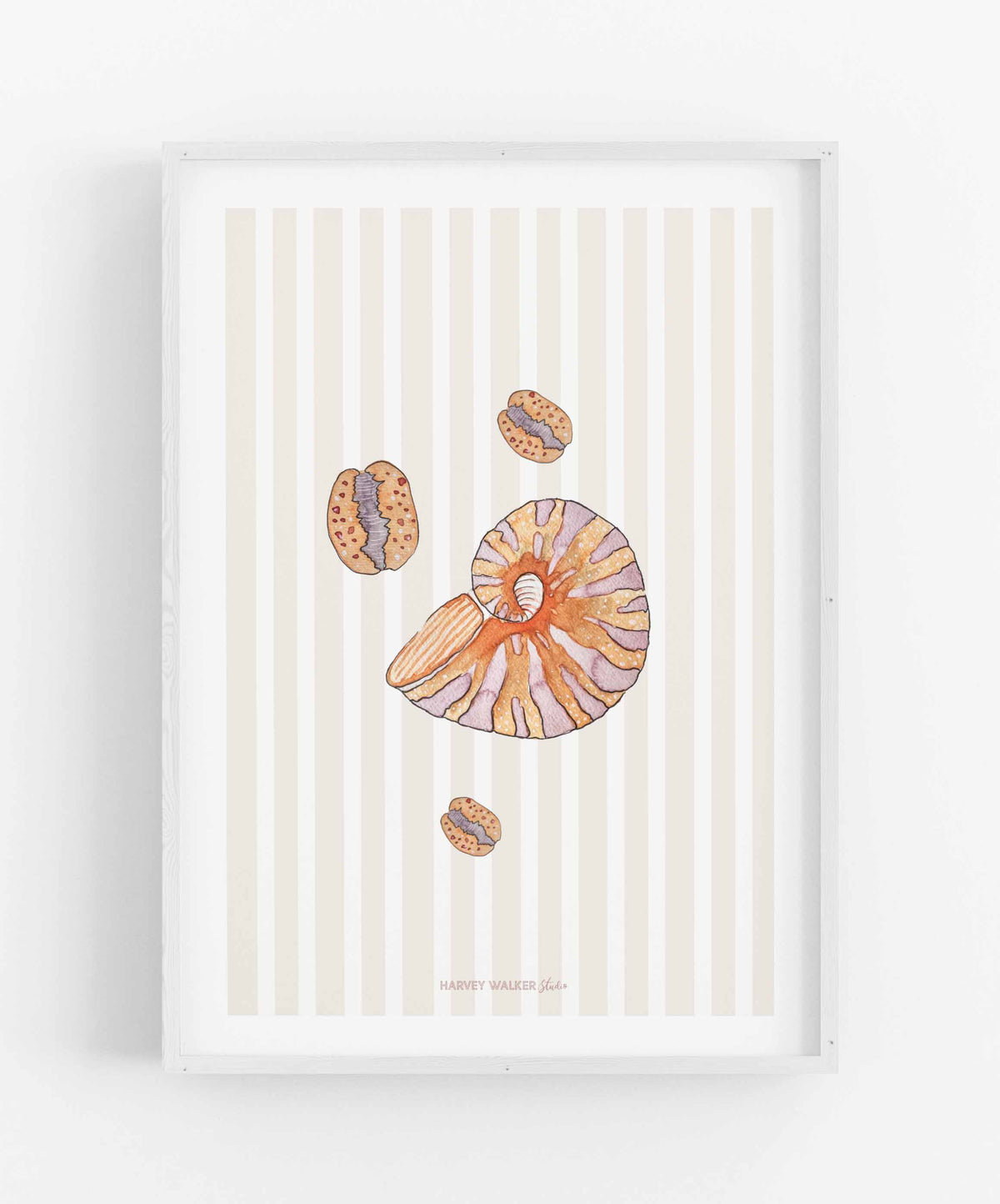 SHELL BUNDLE STRIPE - Fine Art Print