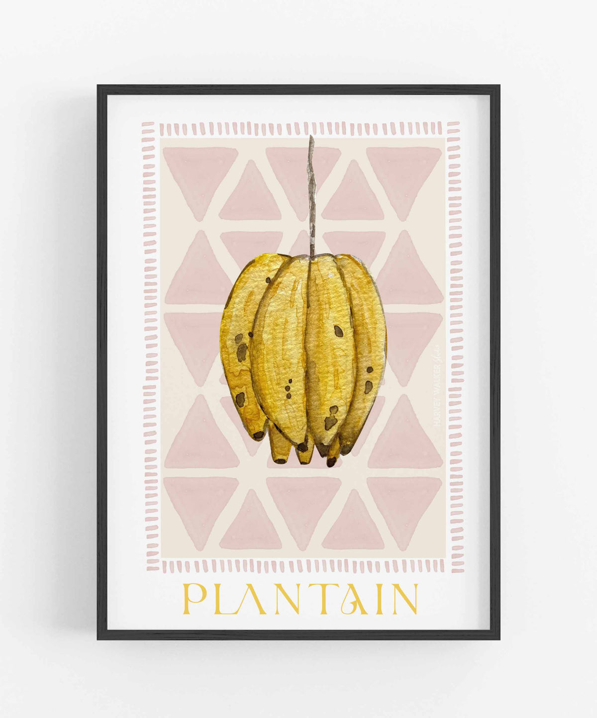 TRIBAL TREASURE PLANTAIN - Fine Art Print