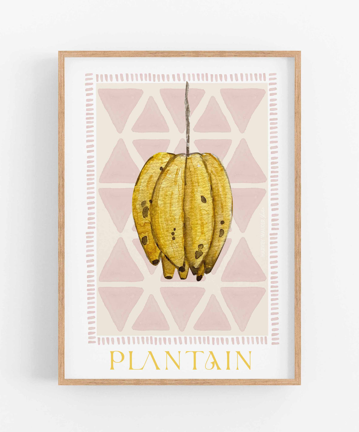 TRIBAL TREASURE PLANTAIN - Fine Art Print