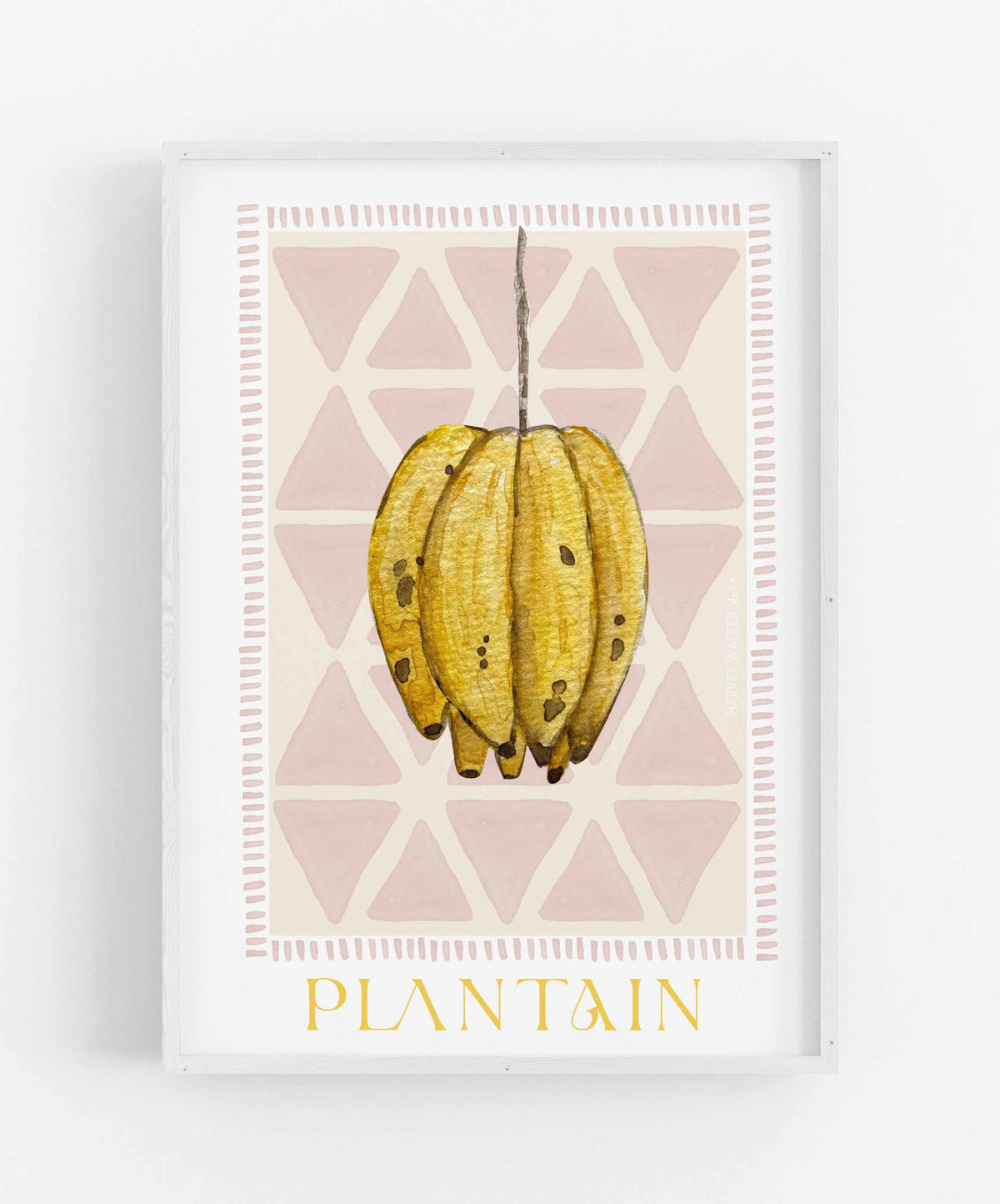 TRIBAL TREASURE PLANTAIN - Fine Art Print